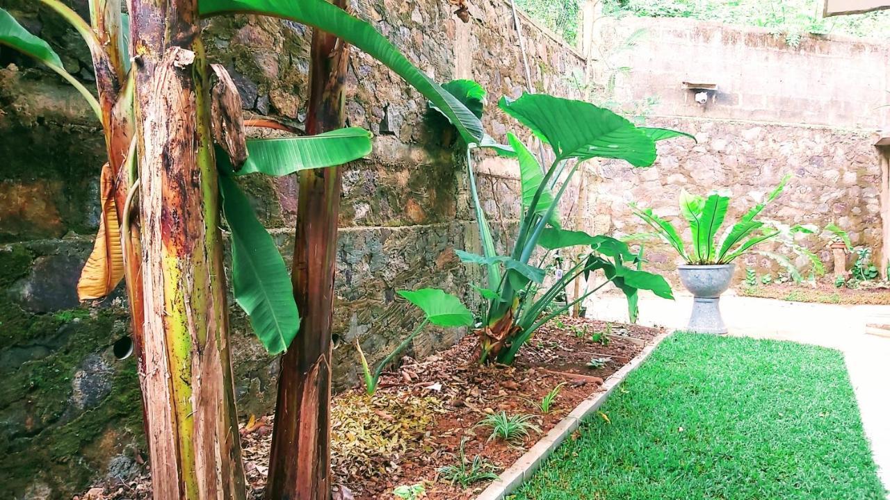 Villa Senan - 2 Apartments - มิริสซา ภายนอก รูปภาพ
